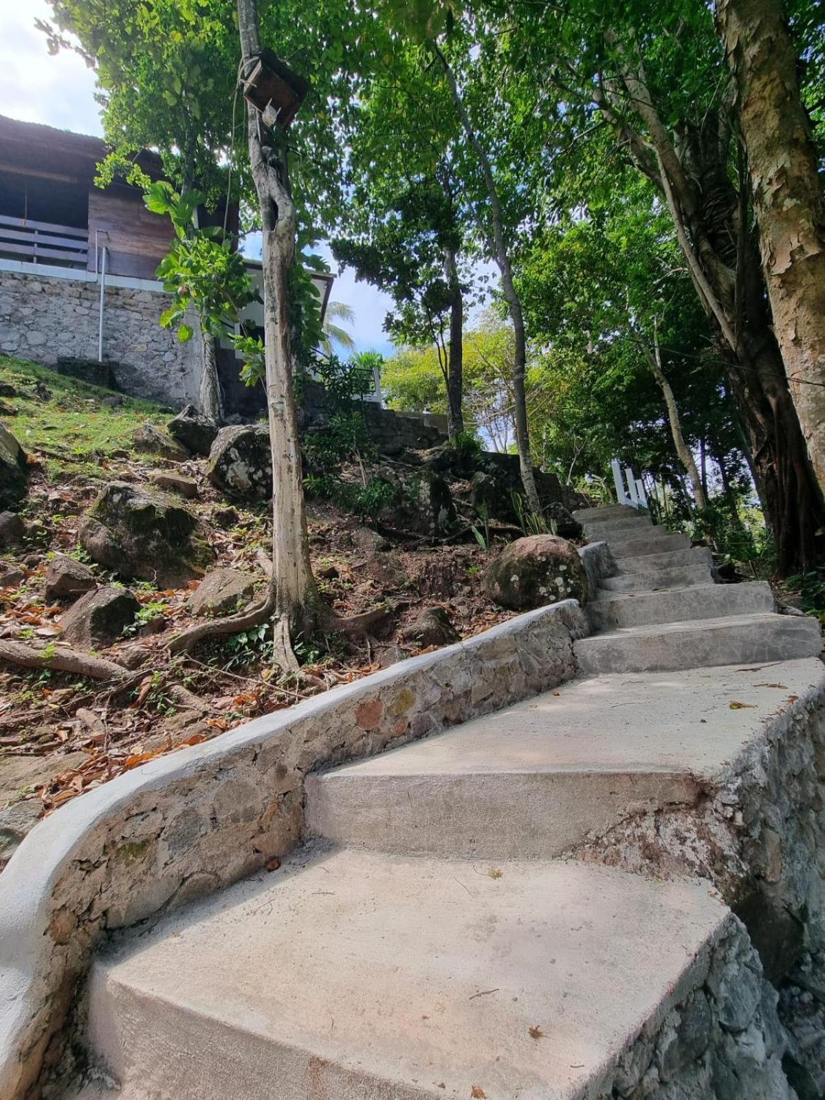 Treetop Guesthouse And Bungalows Sabang  Eksteriør billede